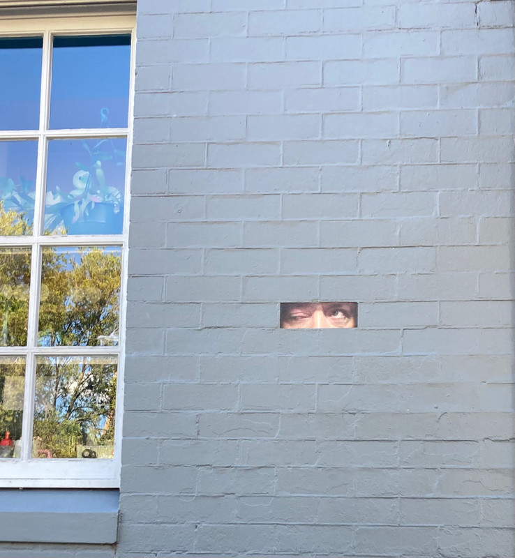 Saw a funny brick insert