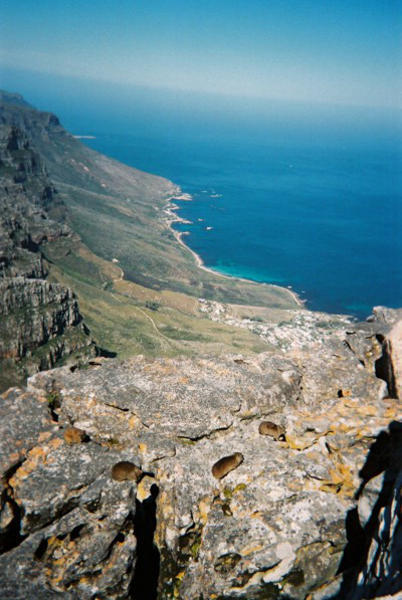 Looking out across the 'Twelve Apostles'