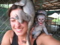 Baby monkeys!