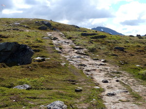 The Walking Path to the very top