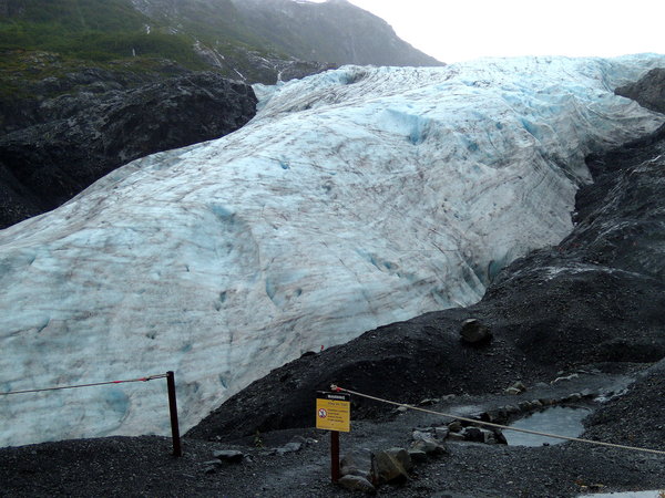 Exit Glacier up close