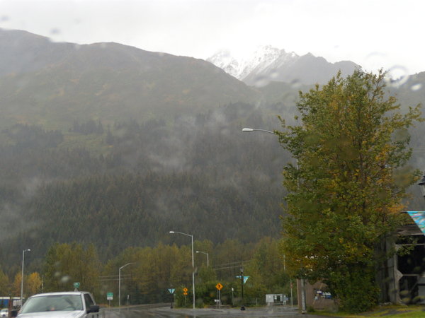 View from within Seward