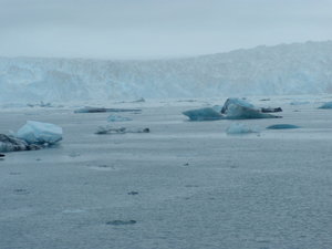 At the glacier - icebergs all over