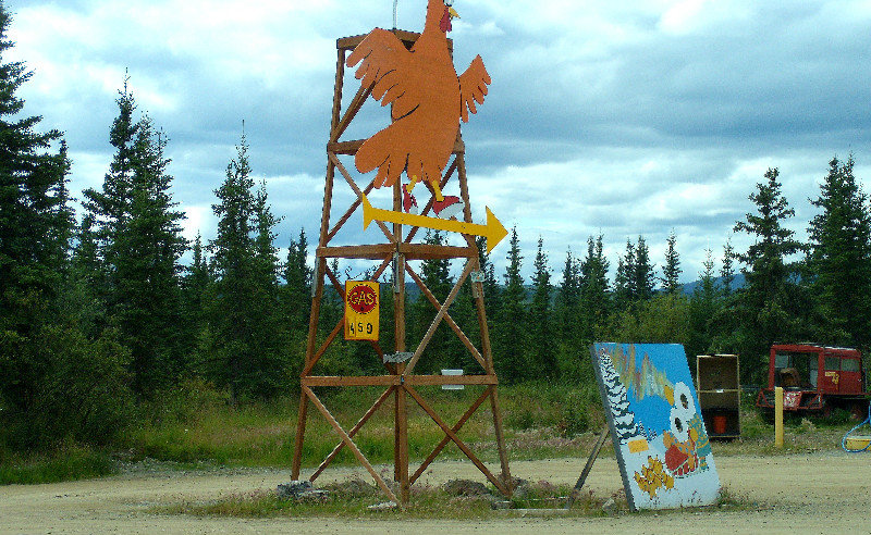 Arrival Chicken, AK