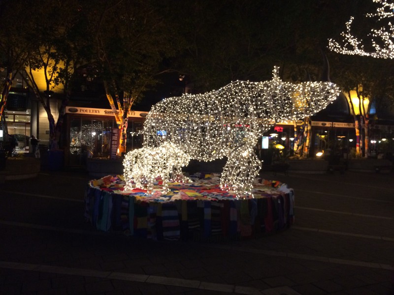 Christmas rhino 