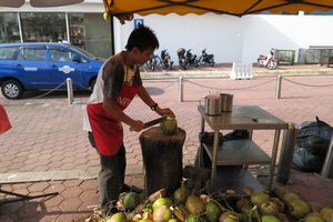 frische Kokosnüsse