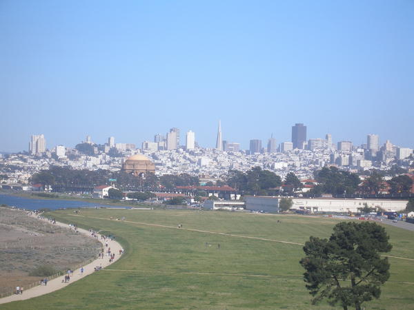 View of S.F. from hill top