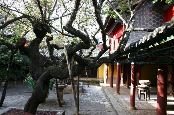 Temple courtyard, Dali