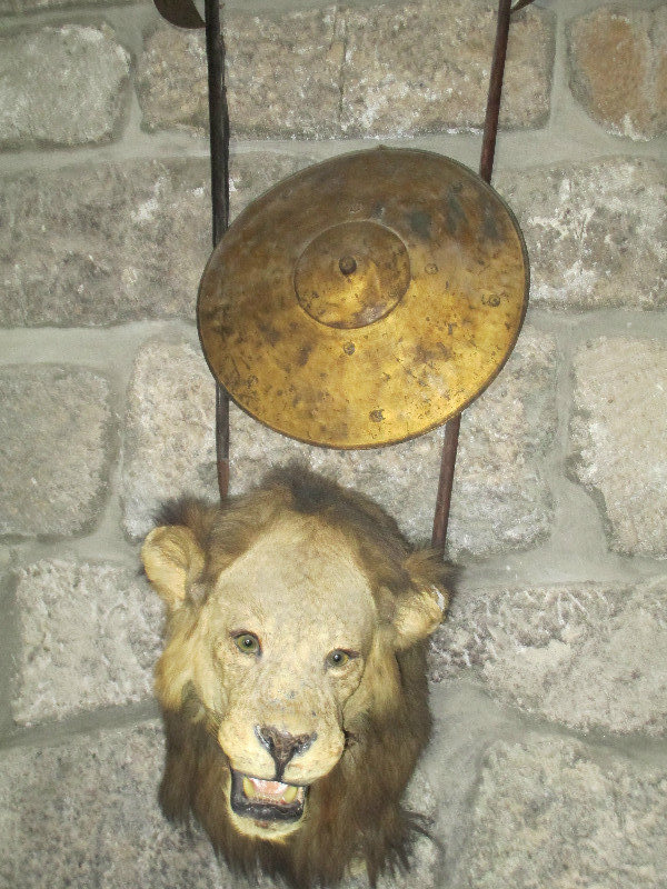 Lions Head in the English Tower