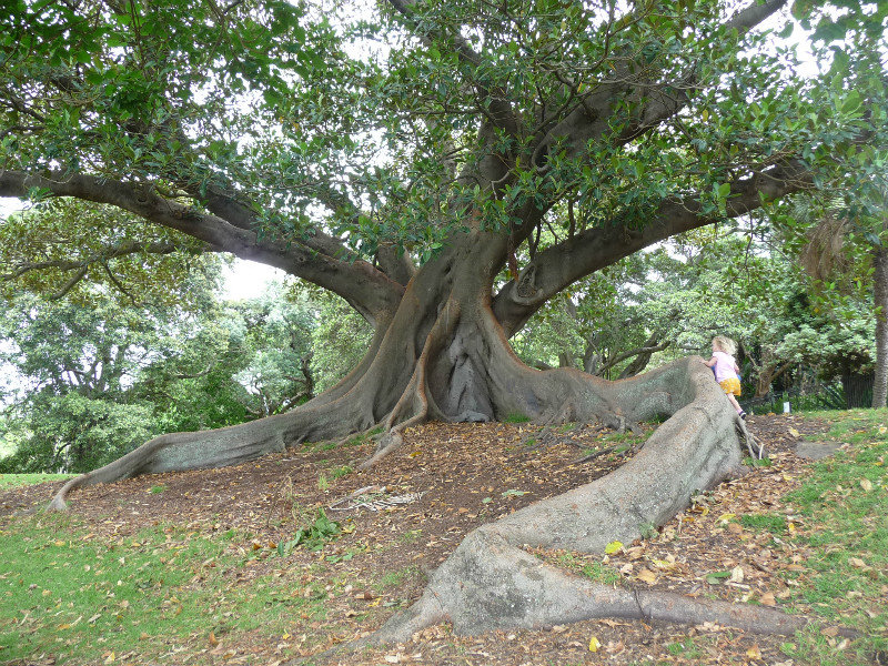 rooted-to-the-spot-photo