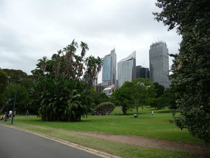 Parks and skyscrapers