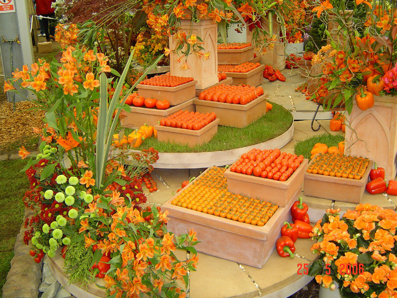 Colourful vegie displays