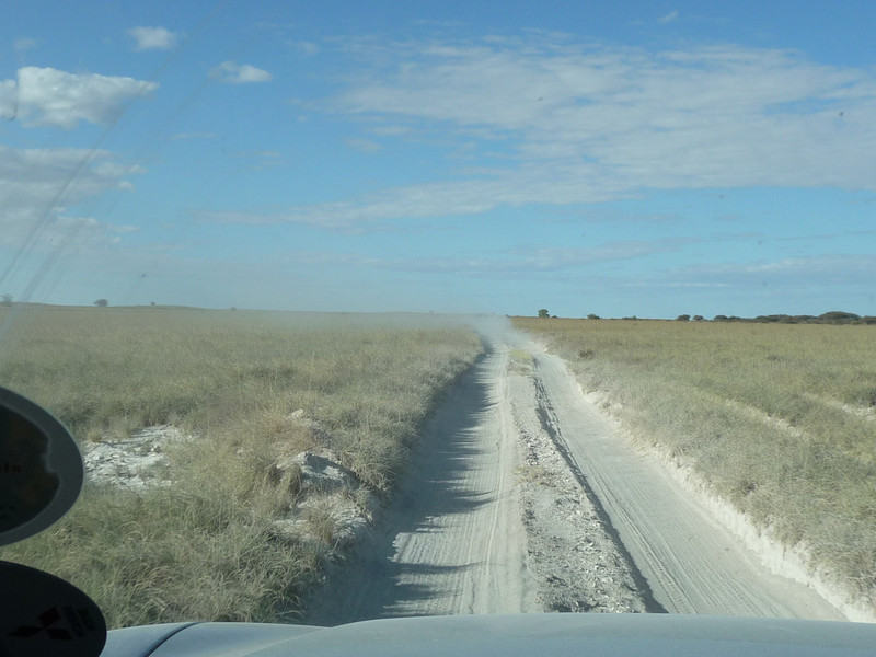 Not a bad road on Makgadikgadi pan