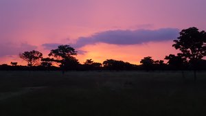 Bushveld sunset painted in pink