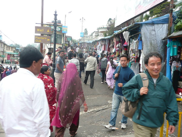 Darjeeling Markets