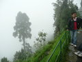 Scenes around Darjeeling