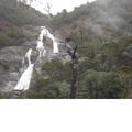 NE TASMANIA - Waterfall 2