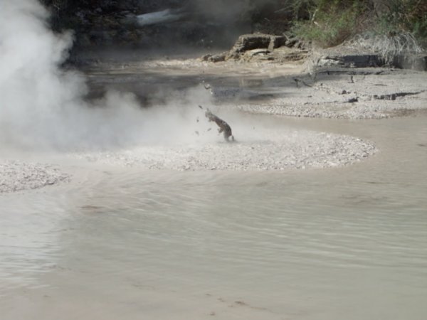 Boiling mud pool