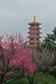 Pagoda in Qibao