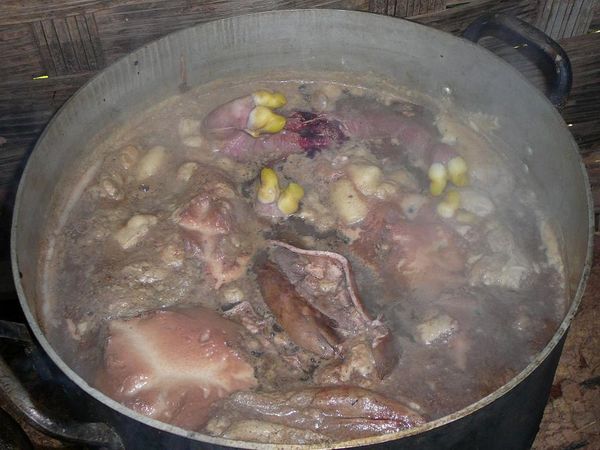 buffalo fetus & placenta stew
