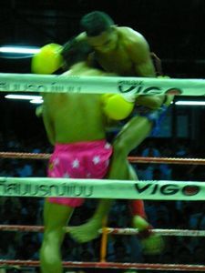 muay thai: lumpinee stadium