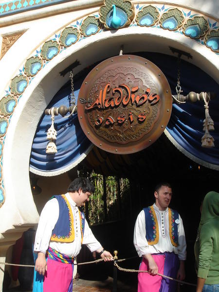 Aladdin Oasis Show