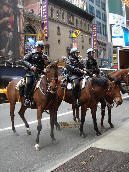 Police & their horses