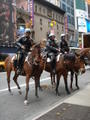 Police & their horses
