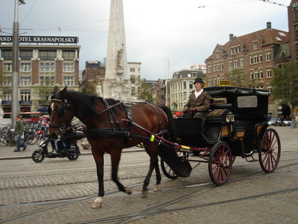 Horse & carriage at square