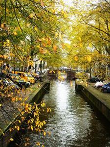 Autumn Leaves by Canal