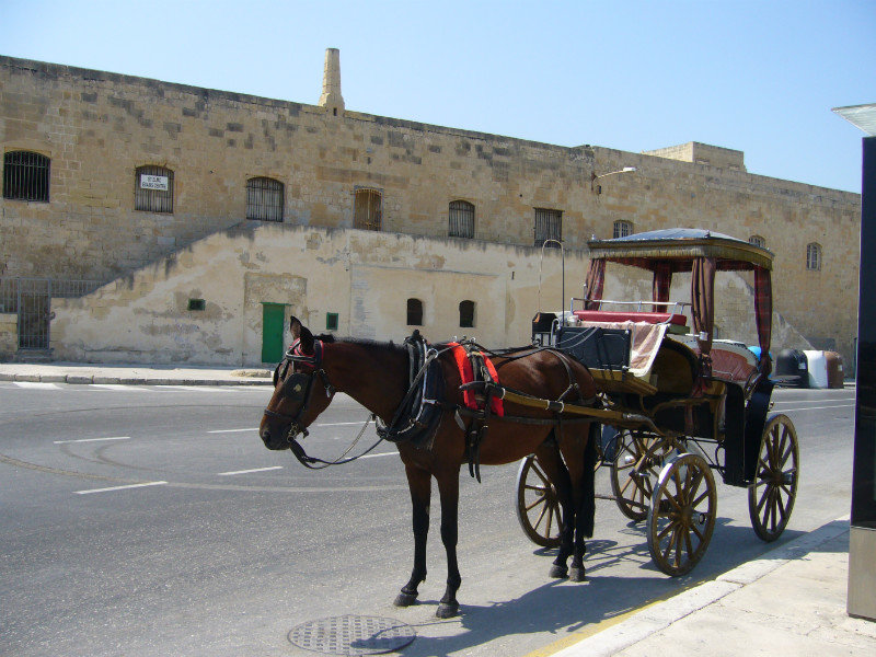 horse cab