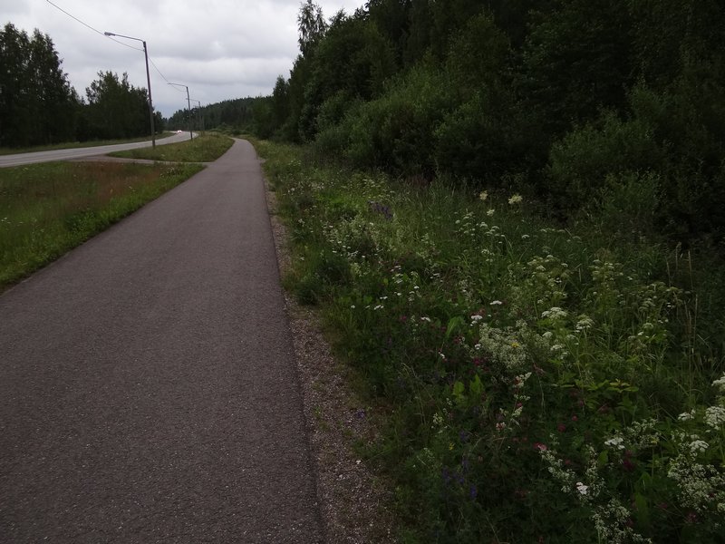Trail near Vantaa