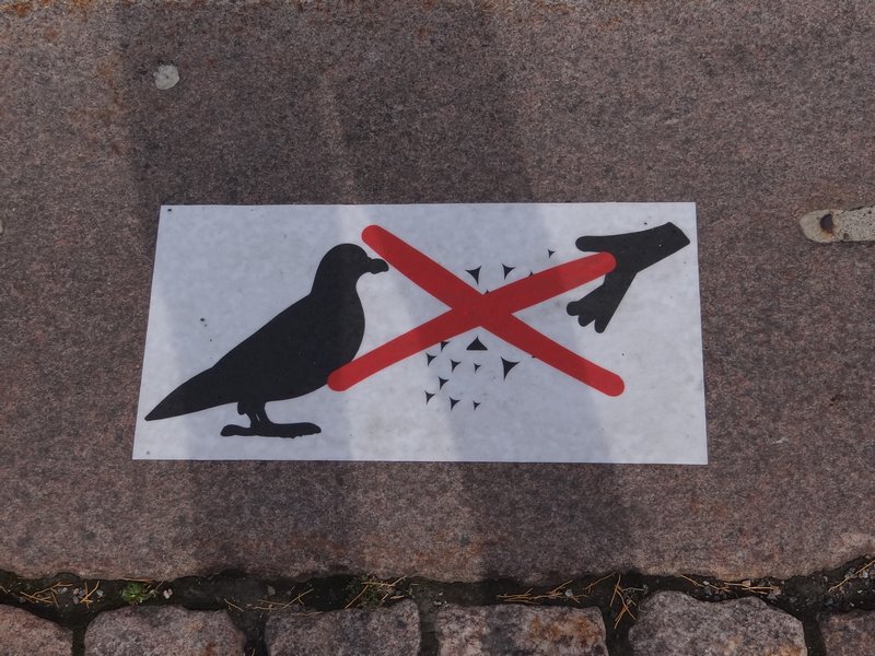Do not feed shuriken to the gulls