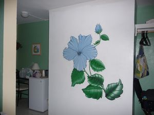 Flower Wall at Ceiba Inn