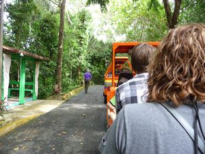 Camuy caves train
