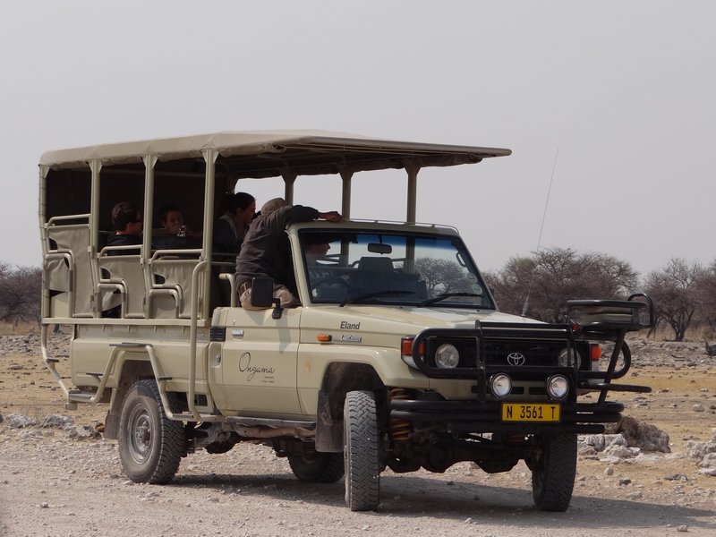 Safari car at Chudop waterhole