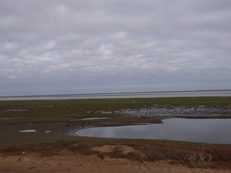 Walvis Bay with Flamingoes