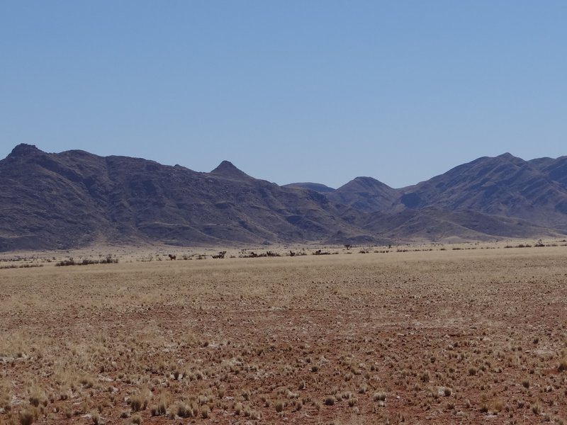Mountains with sparse vegetation