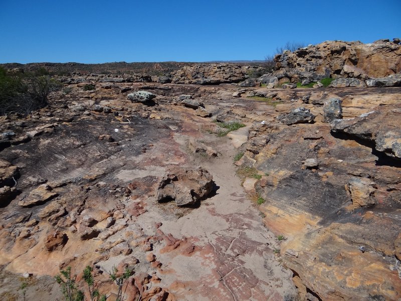 Desolate rock surface