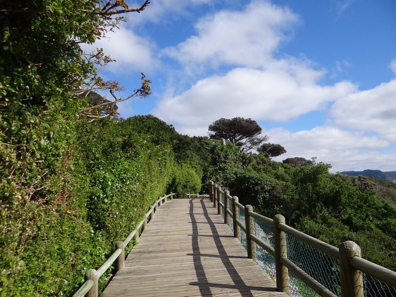 14. Trail between the two beaches