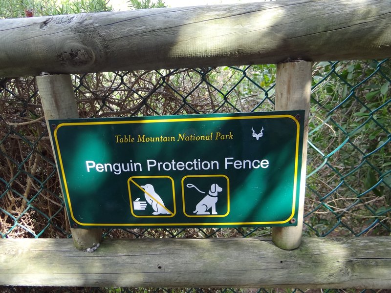 7. Do not catch penguins