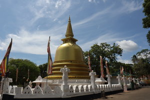 Dambulla - Goldene Stupa