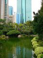 Flamingos and skyscrapers, Kowloon Park