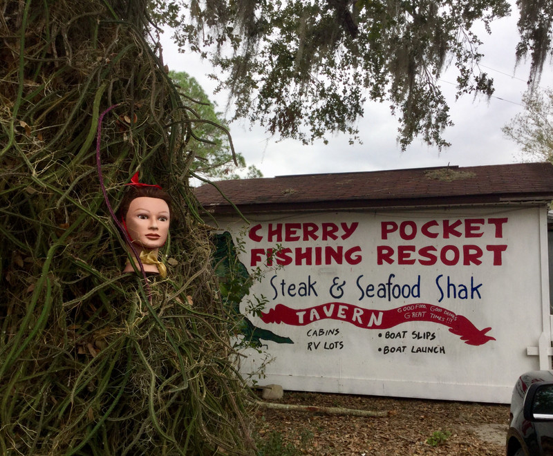 Cherry Pocket