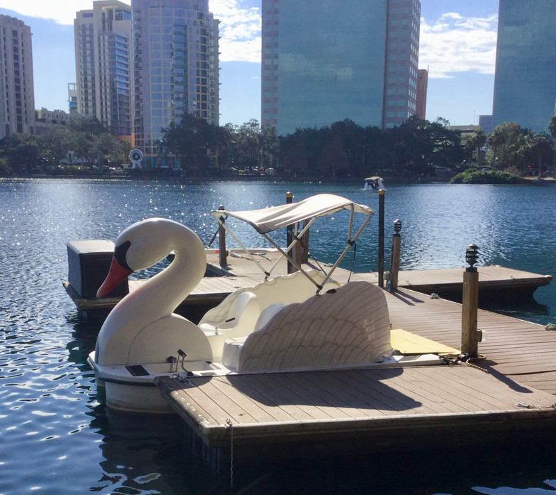 Swan Boat Ride