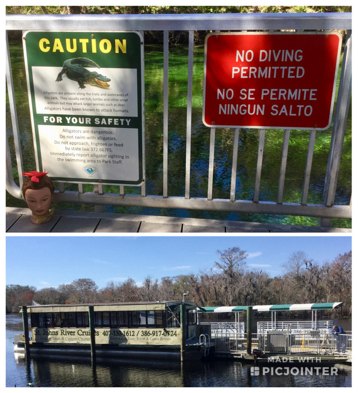 Warning....even alligators 