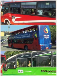 Various buses