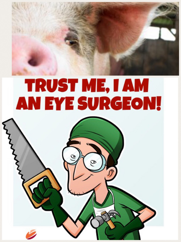 My Doctor and my Pig Eye