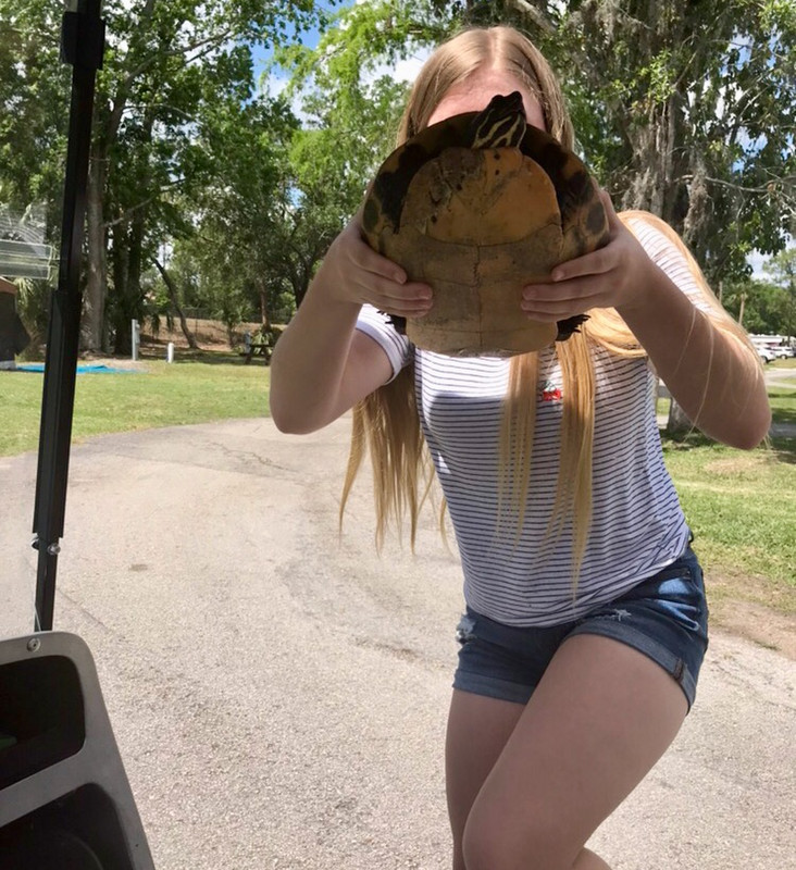Taking the turtle to the pond