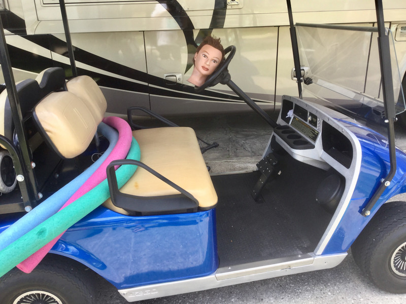Lulu drives our golf cart